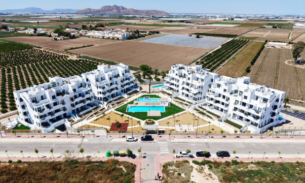 New Build - Apartment / flat - Torre Pacheco - Torre-pacheco