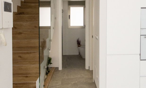 Nowy budynek - Villa - Pilar de la Horadada