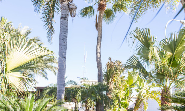 Nieuwbouw Woningen - Villa - San Pedro del Pinatar - San Pedro Del Pinatar