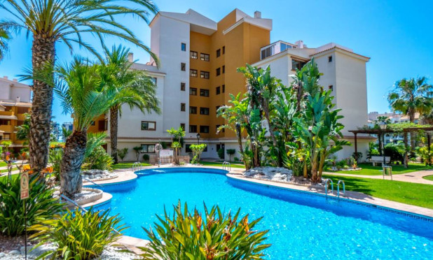Reventa - Apartamento / piso - Punta Prima