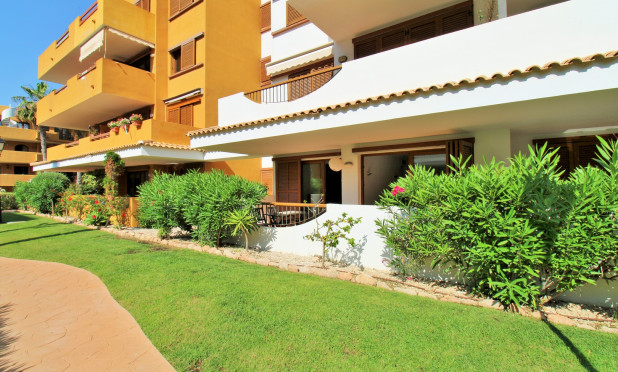 Reventa - Apartamento / piso - Punta Prima