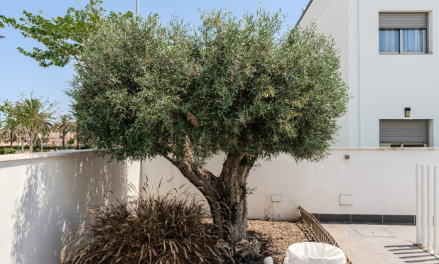 Herverkoop - Appartement / flat - Torre de la Horadada