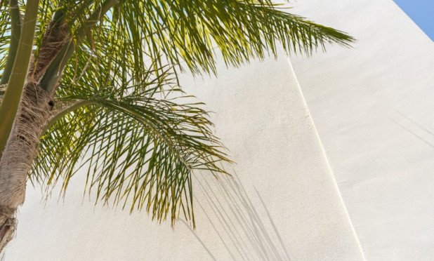 Herverkoop - Appartement / flat - Torre de la Horadada