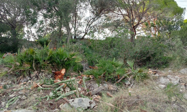 Herverkoop - Perceel / Grond - Altea
