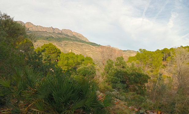 Herverkoop - Perceel / Grond - Altea