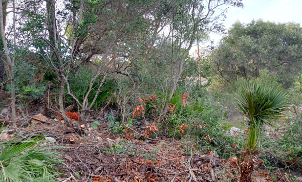 Herverkoop - Perceel / Grond - Altea