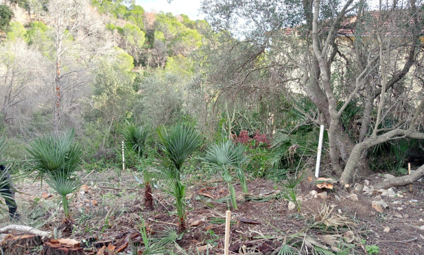 Herverkoop - Perceel / Grond - Altea