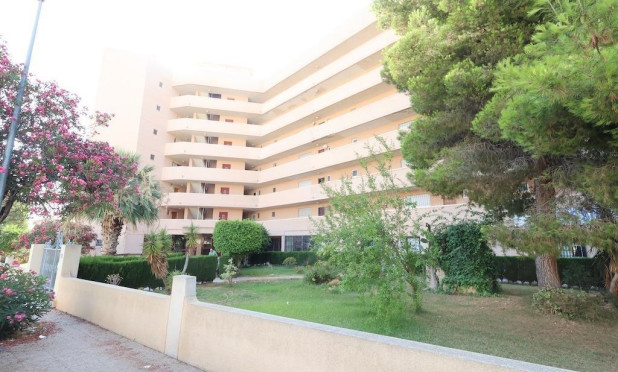 Resale - Commercial - Orihuela Costa - La Zenia