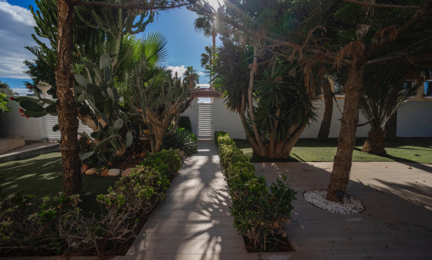 Resale - Villa - Ciudad Quesada - Doña pepa