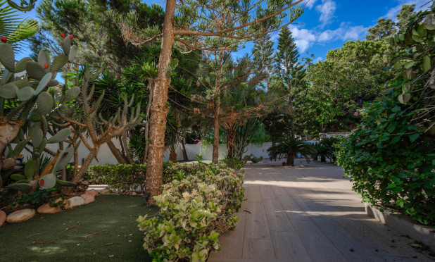 Resale - Villa - Ciudad Quesada - Doña pepa