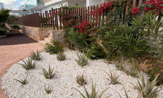 Resale - Apartment / flat - Orihuela - Vistabella Golf