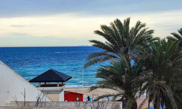 Revente - Appartement - Torrevieja - torrevieja