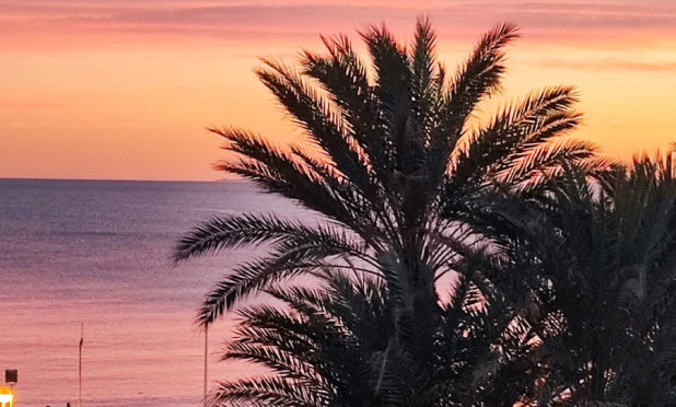 Revente - Appartement - Torrevieja - torrevieja