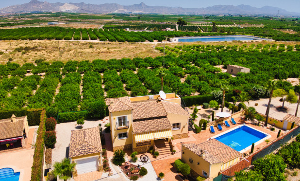 Wiederverkauf - Finca / Landgut - Orihuela