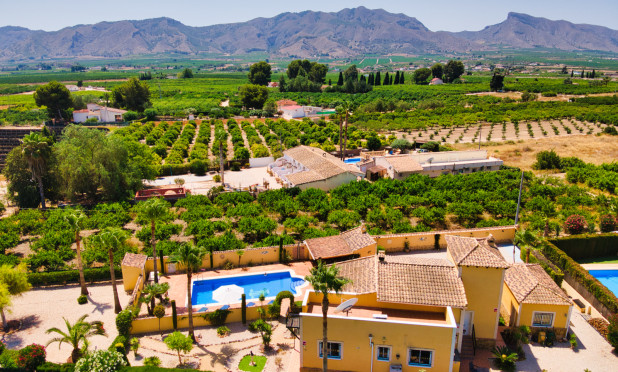 Wiederverkauf - Finca / Landgut - Orihuela