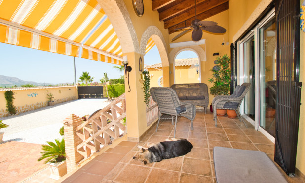 Wiederverkauf - Finca / Landgut - Orihuela