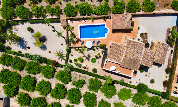 Wiederverkauf - Finca / Landgut - Orihuela