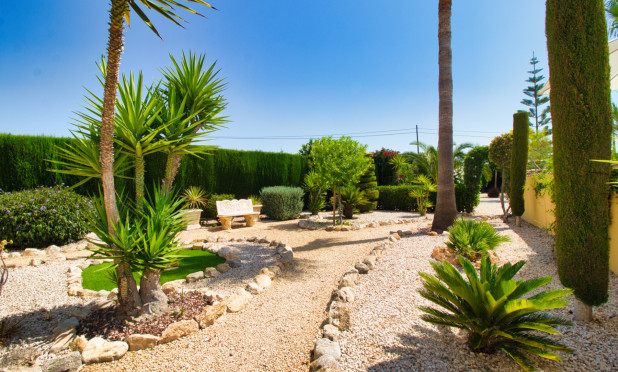 Wiederverkauf - Finca / Landgut - Orihuela