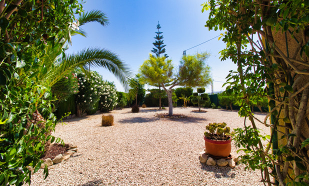 Wiederverkauf - Finca / Landgut - Orihuela