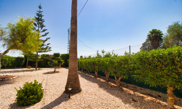 Wiederverkauf - Finca / Landgut - Orihuela