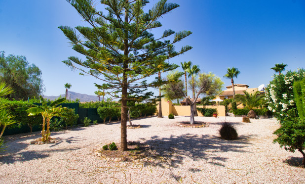 Wiederverkauf - Finca / Landgut - Orihuela