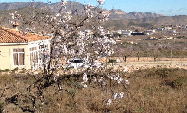 Resale - Plot / Land - Hondón de los Fráiles