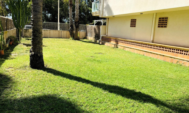 Resale - Apartment / flat - Guardamar del Segura - Puerto
