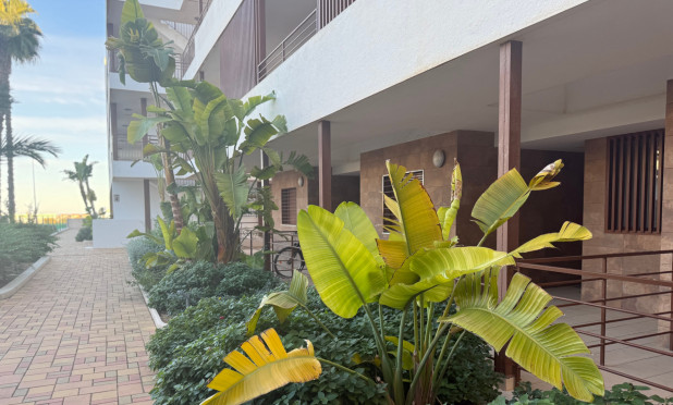 Revente - Appartement - Cabo Roig - Lomas De Cabo Roig