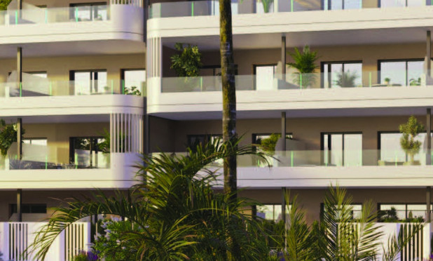 Nouvelle construction - Appartement - Torrevieja - torrevieja