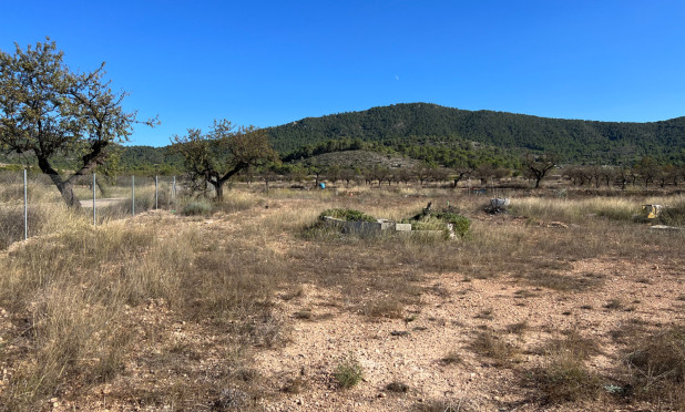 Resale - Plot / Land - Hondón de las Nieves