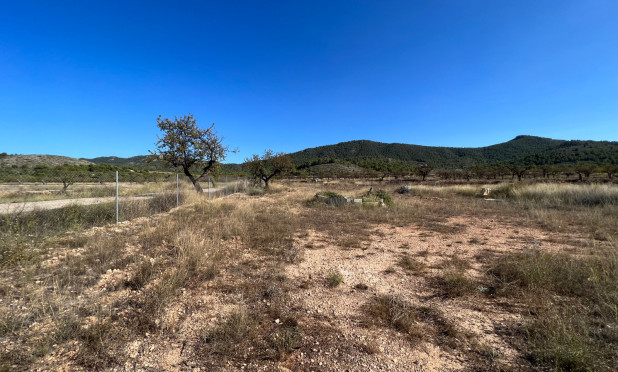 Resale - Plot / Land - Hondón de las Nieves