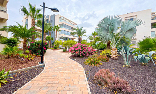 Herverkoop - Appartement / flat - Orihuela Costa - Villamartín