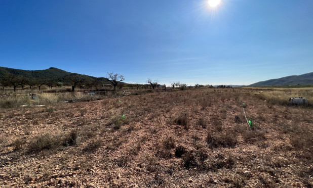 Resale - Plot / Land - Hondón de las Nieves