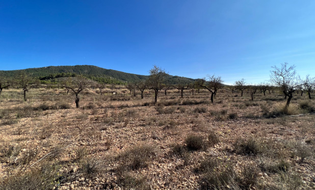 Resale - Plot / Land - Hondón de las Nieves