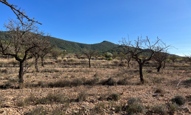 Resale - Plot / Land - Hondón de las Nieves