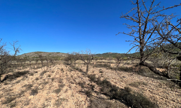 Resale - Plot / Land - Hondón de las Nieves