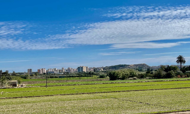 Revente - Villa - Guardamar del Segura - Guardamar Del Segura