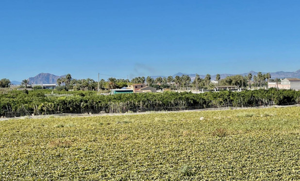 Revente - Villa - Guardamar del Segura - Guardamar Del Segura