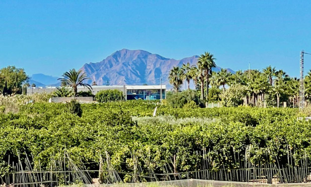 Revente - Villa - Guardamar del Segura - Guardamar Del Segura