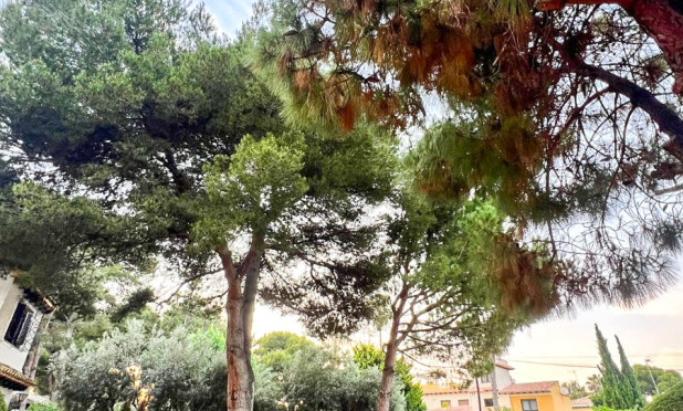 Wiederverkauf - Villa - Orihuela Costa - Punta Prima