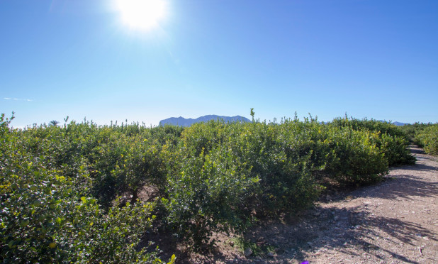Herverkoop - Finca / Landelijk eigendom - Alicante