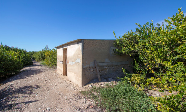 Herverkoop - Finca / Landelijk eigendom - Alicante
