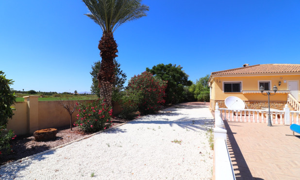 Herverkoop - Finca / Landelijk eigendom - Catral - Catral - Country