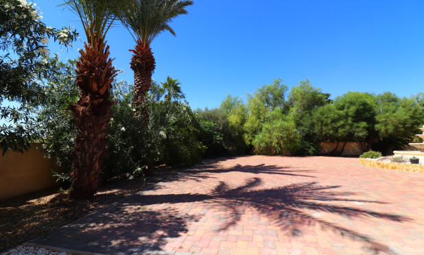 Herverkoop - Finca / Landelijk eigendom - Catral - Catral - Country