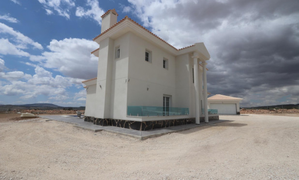 Obra nueva - Villa - Pinoso