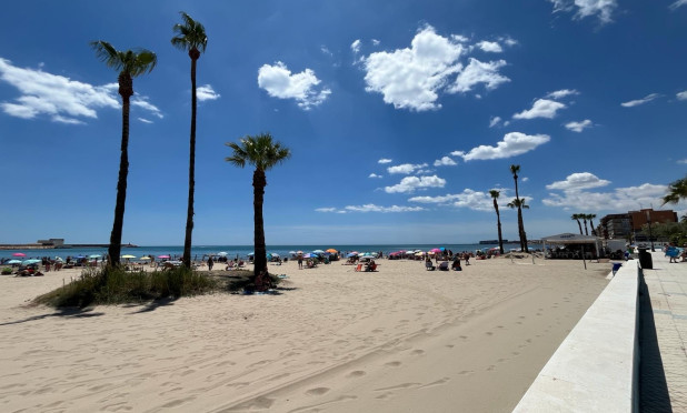 Revente - Appartement - Torrevieja - torrevieja