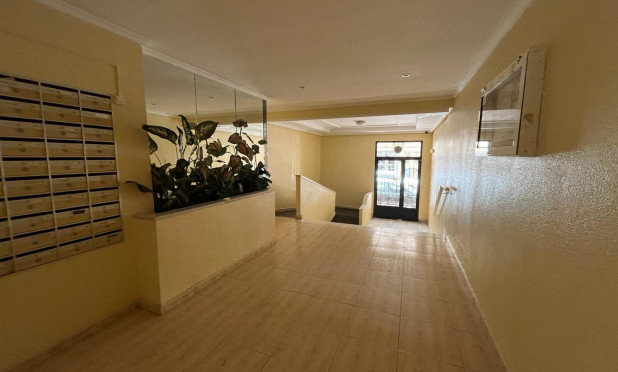 Revente - Appartement - Torrevieja - torrevieja