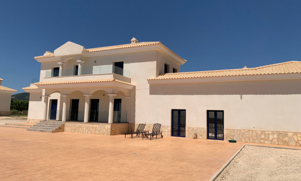 Obra nueva - Villa - Pinoso