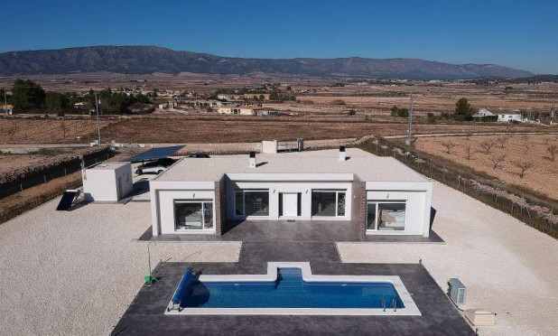 Nouvelle construction - Villa - Pinoso