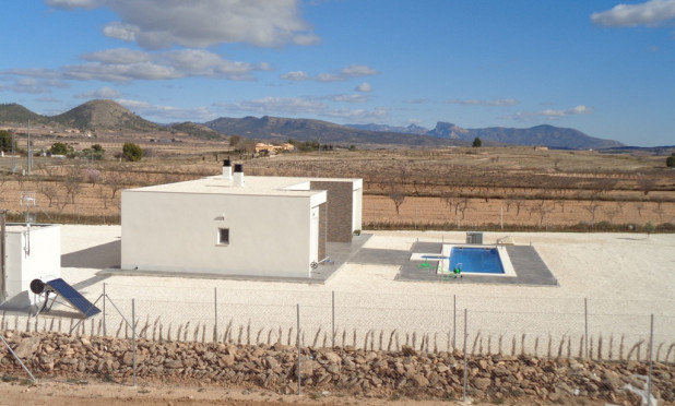 Nouvelle construction - Villa - Pinoso